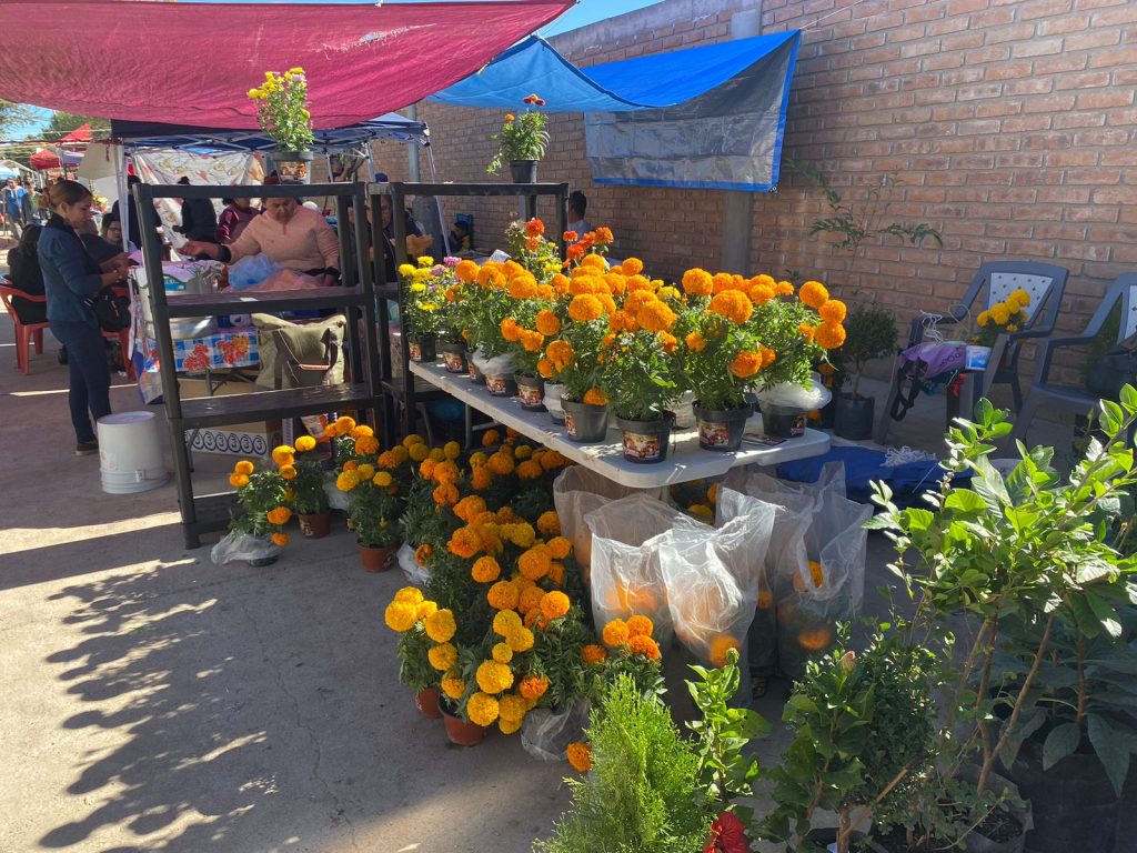 Aumenta la actividad económica por celebraciones de día de muertos.