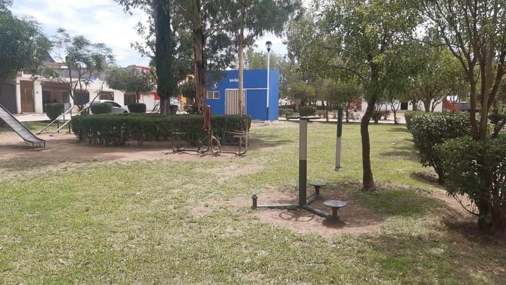 <em>Vicente Guerrero Más Verde y Atractivo, se realizan podas y limpiezas constantes</em>