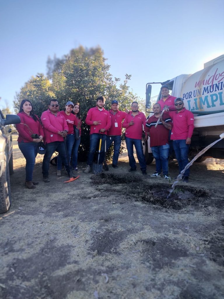 Continúa la reforestación en Vicente Guerrero.