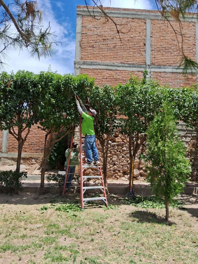Parques y jardines mantienen áreas en óptimas condiciones.