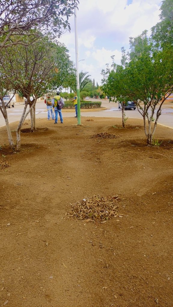 Parques y jardines mantienen espacios públicos.