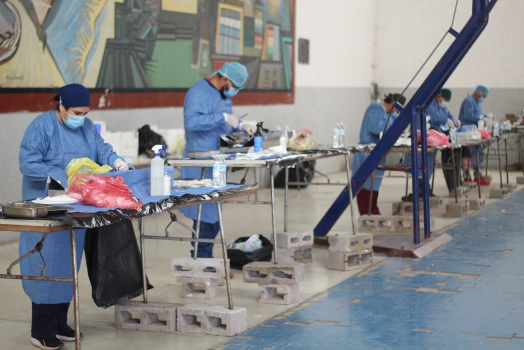 CAMPAÑA DE ESTERILIZACIÓN EN VICENTE GUERRERO